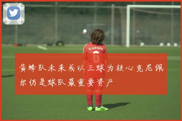 黄蜂队未来或以三球为核心克尼佩尔仍是球队最重要资产