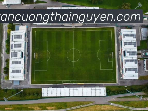全球热力图