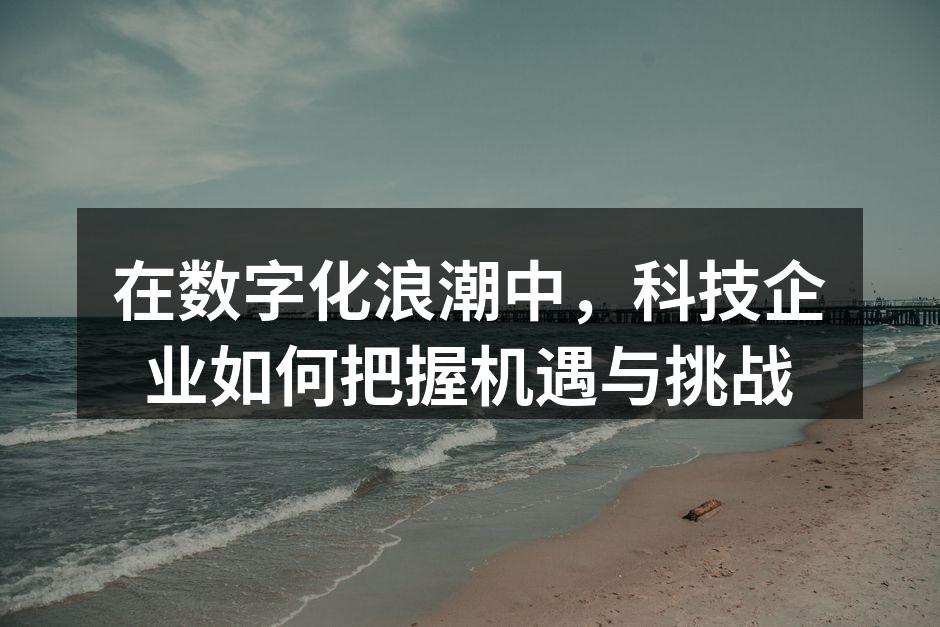 在数字化浪潮中，科技企业如何把握机遇与挑战